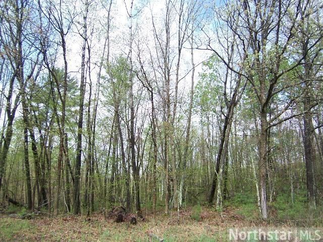 0 County Rd H, Danbury, WI 54830