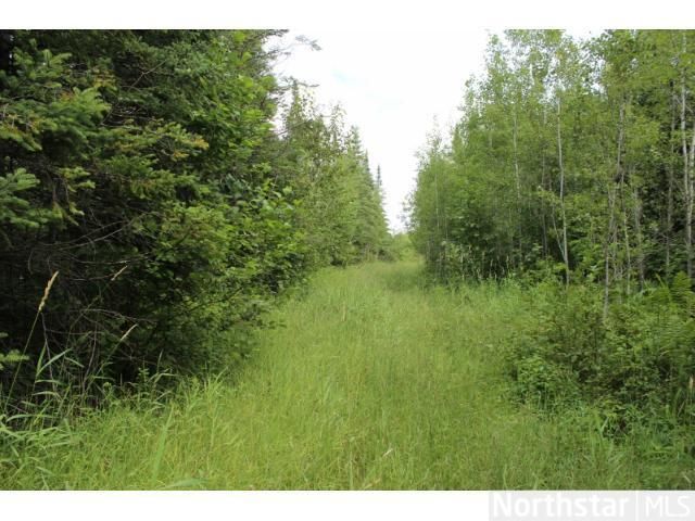 xxx Highway 200, Jacobson, MN 55752