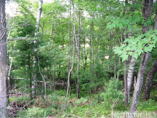 6880 Stengel Dr, Webster, WI 54893