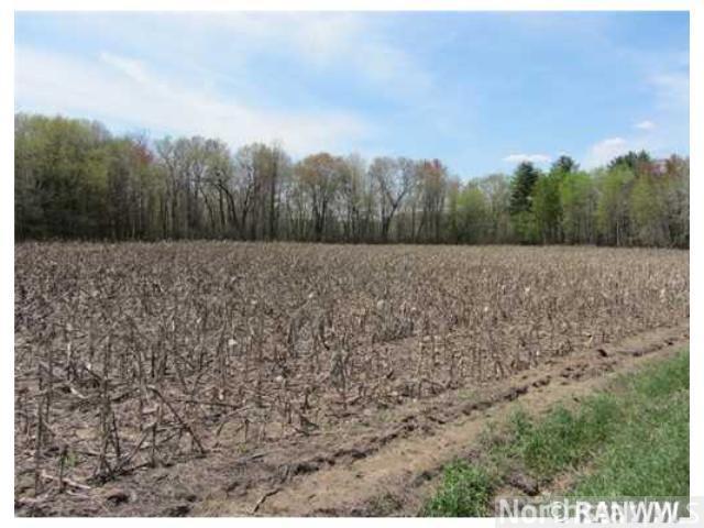 Lot 1 906th St, Elk Mound, WI 54739