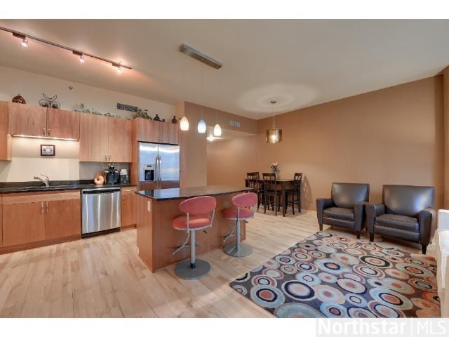 215 10th Ave S #203, Minneapolis, MN 55415