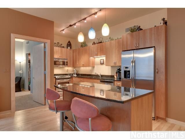 215 10th Ave S #203, Minneapolis, MN 55415