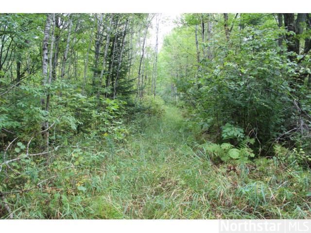 XX Parkhills Rd, Bruno, MN 55712