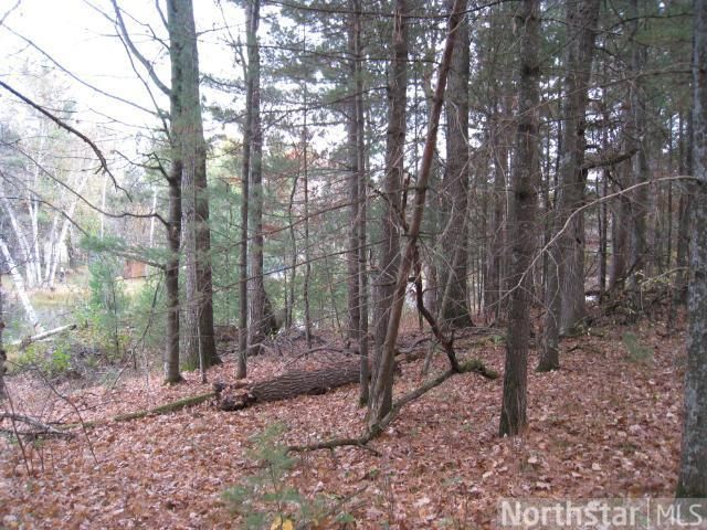 000 9 3/4 Ave, Chetek, WI 54728