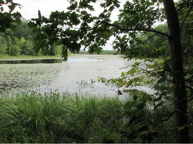 2490 60th St, Luck, WI 54853