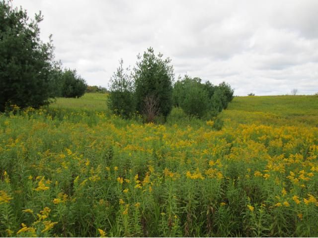 2490 60th St, Luck, WI 54853
