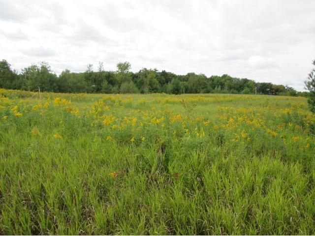 2490 60th St, Luck, WI 54853