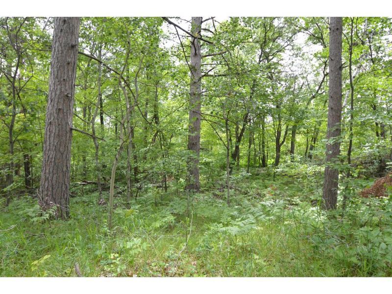 TBD 39 ACRES County Road 3 Rd, Brainerd, MN 56401