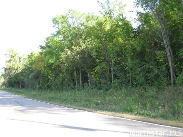 xxxx 70th St NW, Annandale, MN 55302