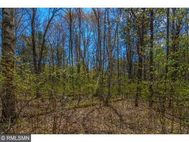 TBD Firelight Ln SW, Pequot Lakes, MN 56472