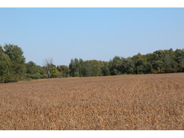 9999 County Road 121, Saint Joseph, MN 56374