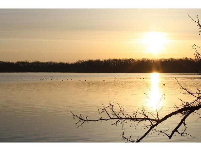 23854 549th Ave, Grove City, MN 56243