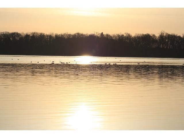 23854 549th Ave, Grove City, MN 56243