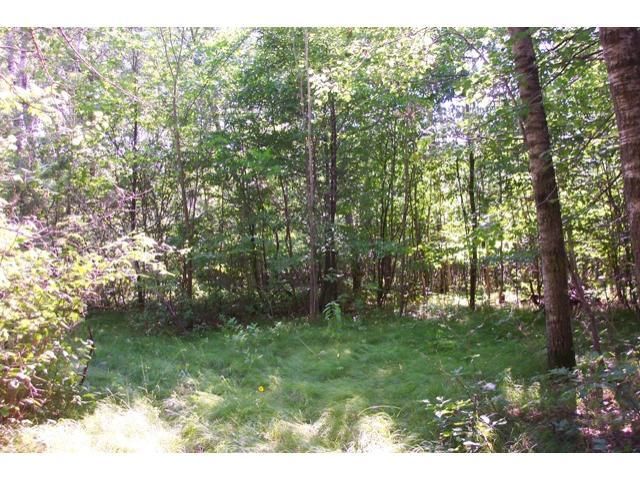 XX Orv's Landing Rd, Staples, MN 56479
