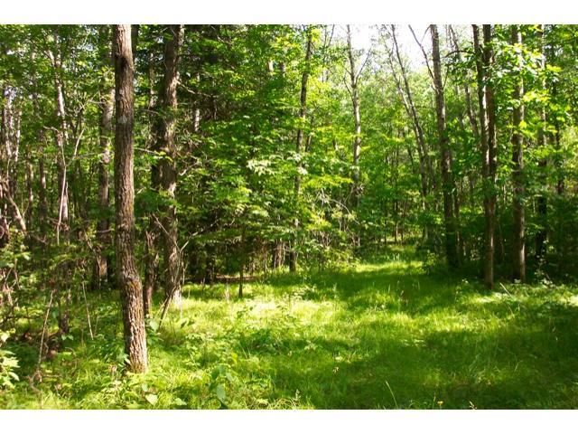 XX Orv's Landing Rd, Staples, MN 56479