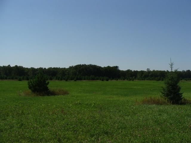 xx5 Cr 22, Brainerd, MN 56401
