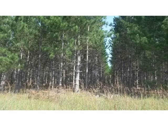 TBD 300th St, Sebeka, MN 56477