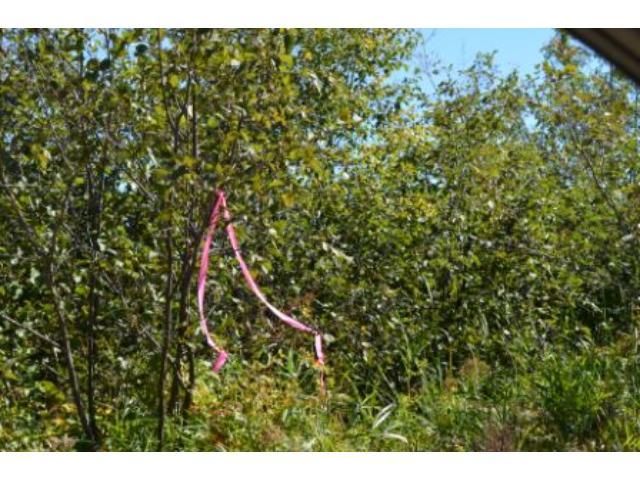 GL4-SESW 260th St, Sebeka, MN 56477