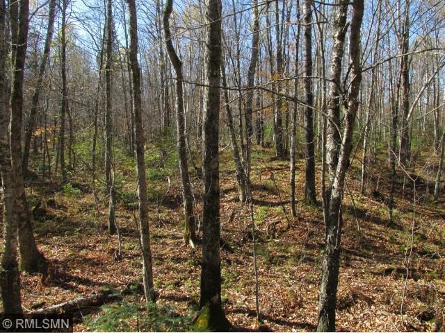 9295 Nail Creek Rd N, Exeland, WI 54835