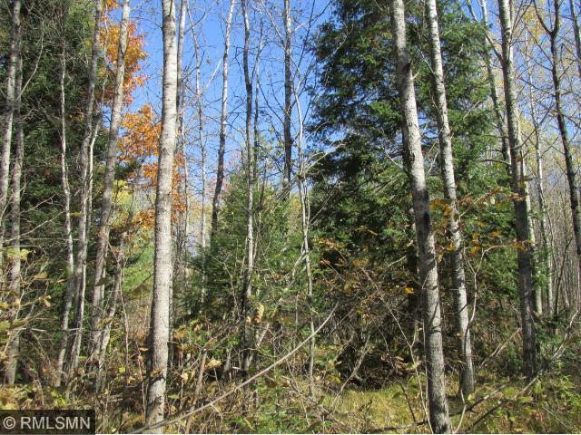 9295 Nail Creek Rd N, Exeland, WI 54835