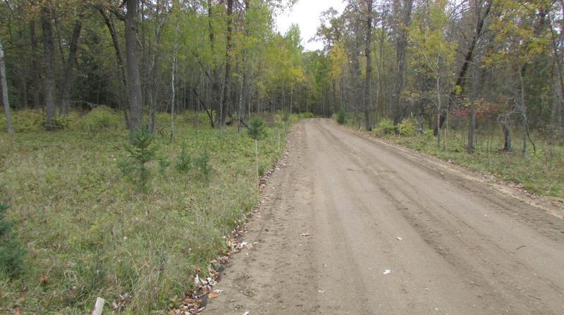 Lot 4 Blk 1 Falling Leaf Trl, Park Rapids, MN 56470