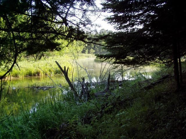 Lot 7 Blk 1 Falling Leaf Trl, Park Rapids, MN 56470