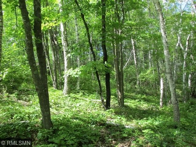 XXX 9th Ave, Hackensack, MN 56452