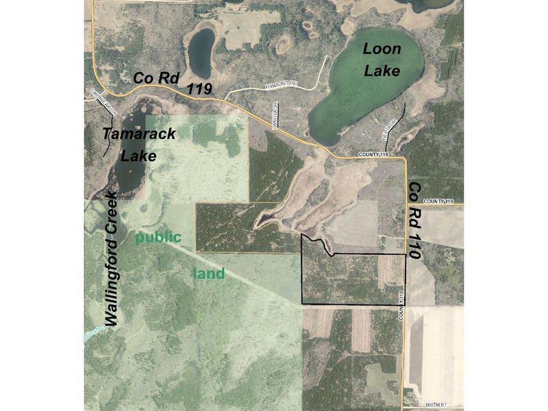GL6-SENE County Road 110, Nevis, MN 56467