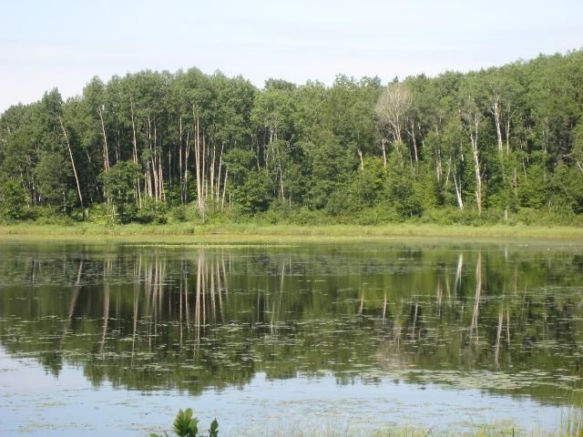Tract B Alpine Dr SW, Pillager, MN 56473