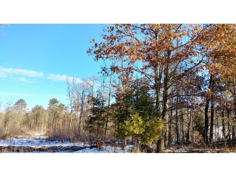26490 Helsene Rd, Webster, WI 54893
