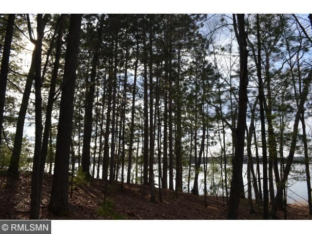 TBD Forest Ln SW, Pillager, MN 56473