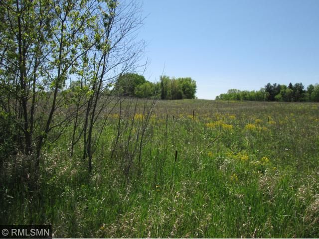 86 ac. State Road 46, Amery, WI 54001