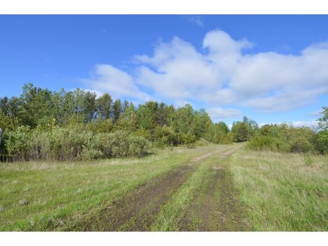 TBD State Highway 371, Pine River, MN 56474