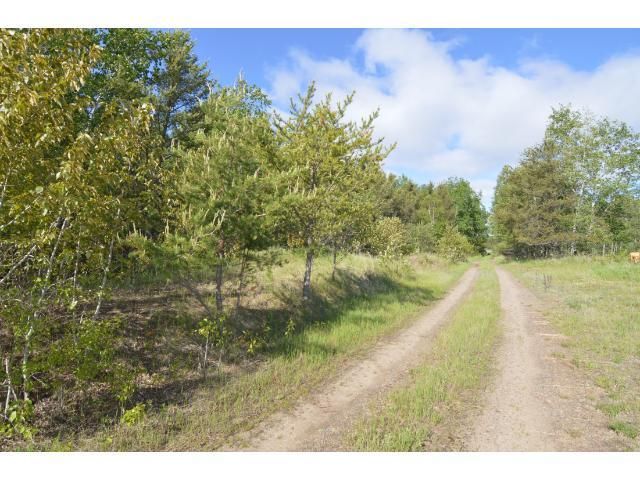 TBD State Highway 371, Pine River, MN 56474