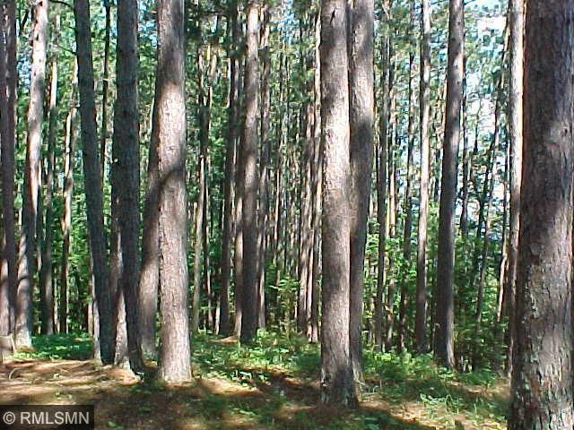 xxxx S Thunder Lake Dr NE, Remer, MN 56672
