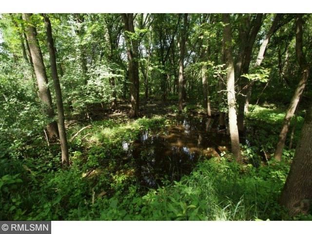 LOT 4 Sciota Trl, Randolph, MN 55065