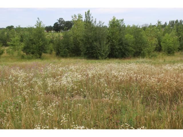 L5 B1 103rd St NW, Zimmerman, MN 55398