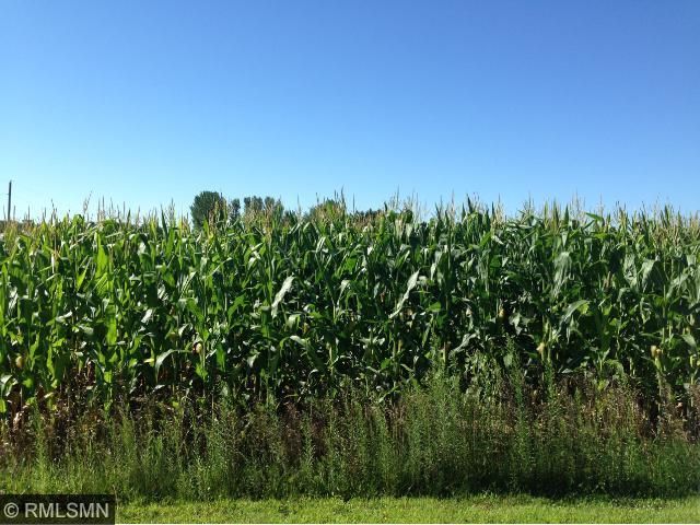 lot 3 65th Ave, Kimball, MN 55353