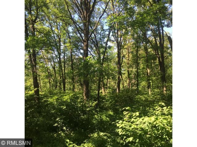 10527 Partridge Rd, Hillman, MN 56338