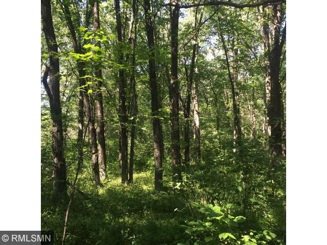 10527 Partridge Rd, Hillman, MN 56338