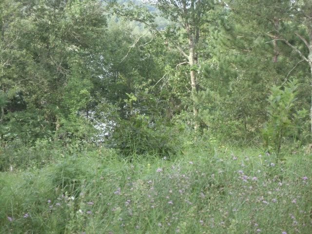0 Myrick Lake Rd, Danbury, WI 54830