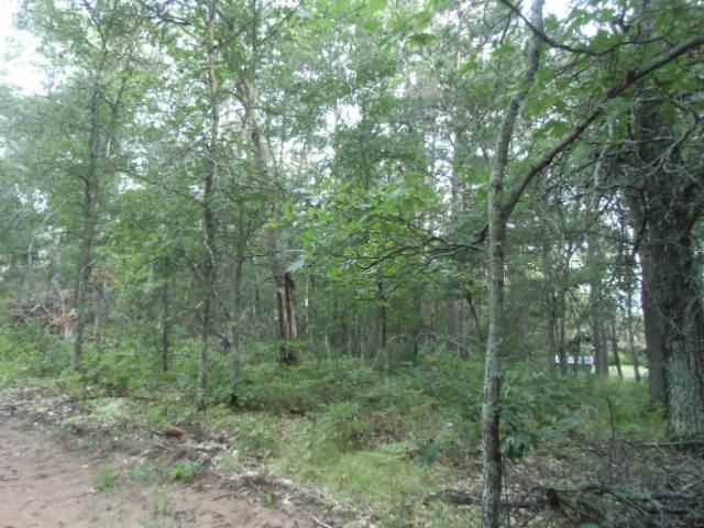 0 Myrick Lake Rd, Danbury, WI 54830