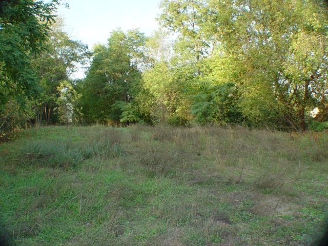 XXX 4th Ave S, Bayport, MN 55003