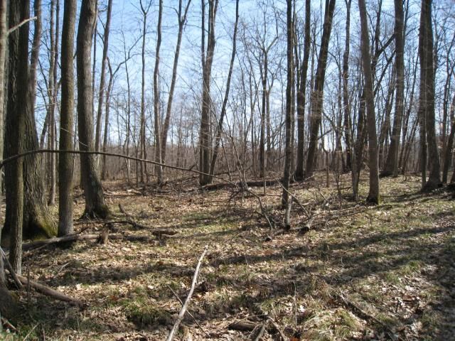 Lot 3 Hungry Lake Rd, Weyerhaeuser, WI 54895