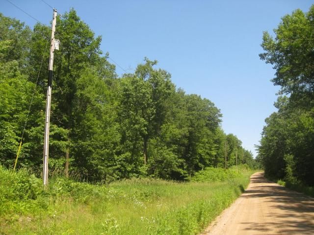 XXX 280th St, Randall, MN 56475
