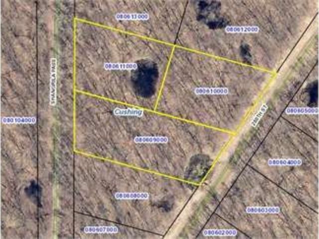 XXX 280th St, Randall, MN 56475