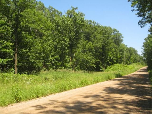 XXX 280th St, Randall, MN 56475