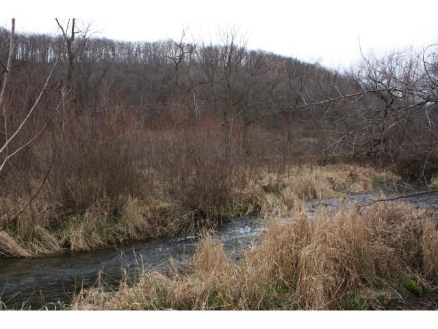 9618 County 5, Caledonia, MN 55921