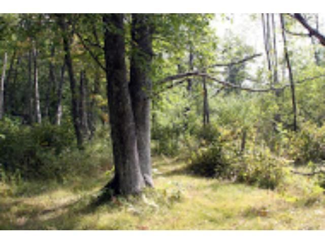 xxx Kirzy Rd, Wright, MN 55798