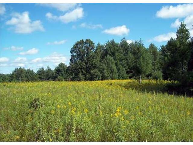 0 85th St, Clam Falls, WI 54837